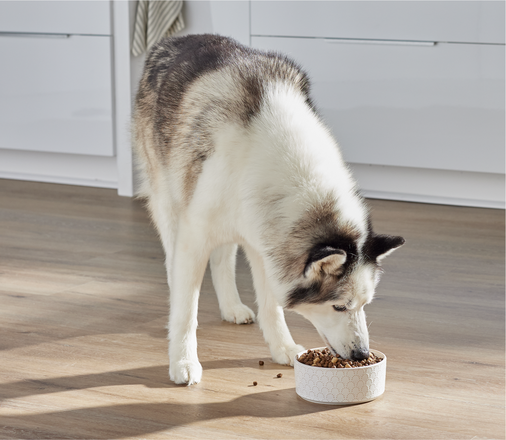 RawMix Front Range Ancient Grains Dog Kibble