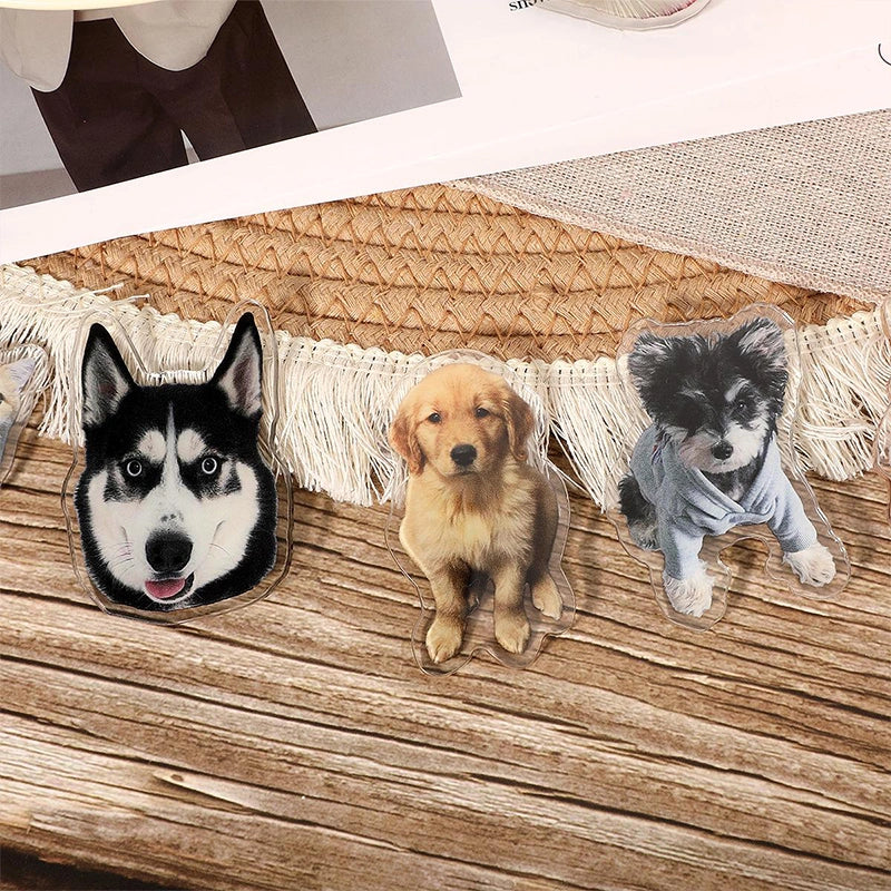 Custom Acrylic Pet Photo Fridge Magnet