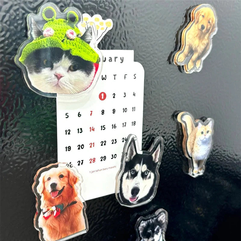 Custom Acrylic Pet Photo Fridge Magnet