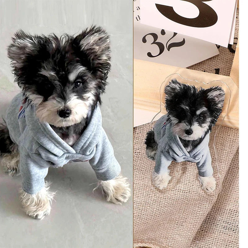 Custom Acrylic Pet Photo Fridge Magnet