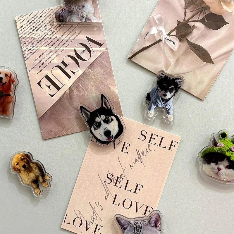 Custom Acrylic Pet Photo Fridge Magnet