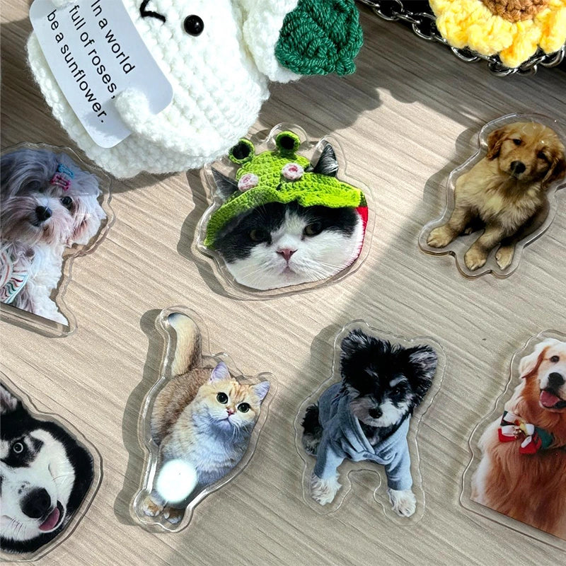 Custom Acrylic Pet Photo Fridge Magnet