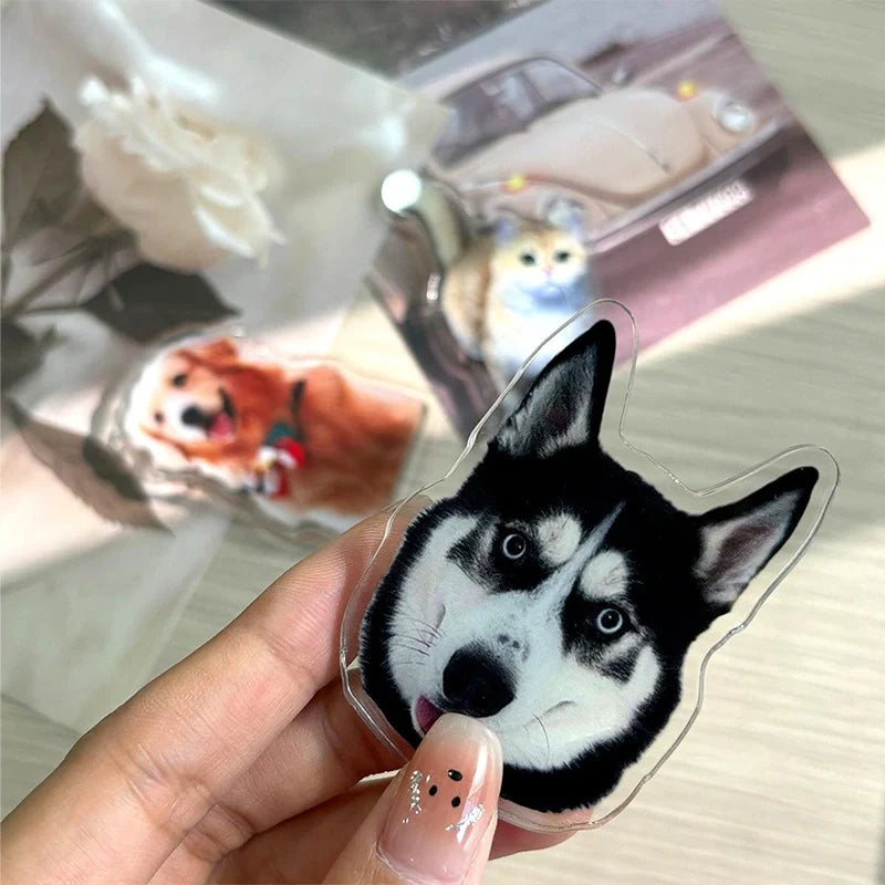 Custom Acrylic Pet Photo Fridge Magnet