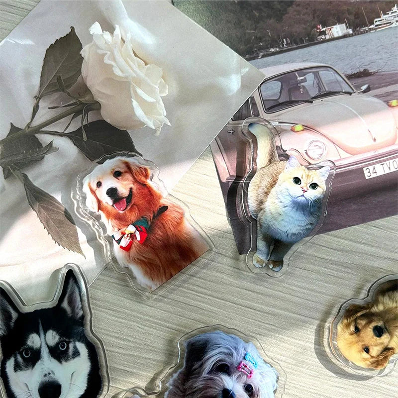 Custom Acrylic Pet Photo Fridge Magnet