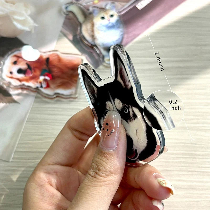 Custom Acrylic Pet Photo Fridge Magnet