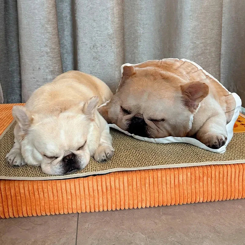 Personalized Funny Pet Photo Cushion Doll