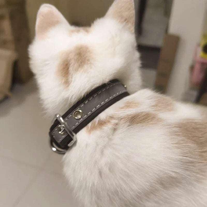 Personalized Leather Dog Collar with Name – Custom Engraved Pet ID Collar | Adjustable Dog Accessory