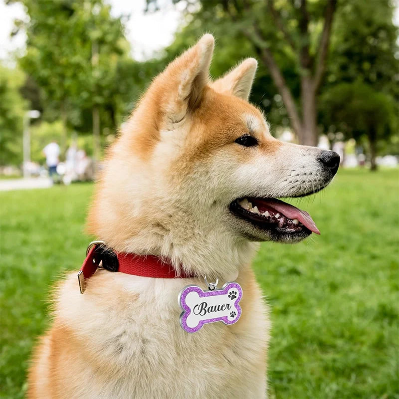 Personalized Leather Dog Collar with Name – Custom Engraved Pet ID Collar | Adjustable Dog Accessory